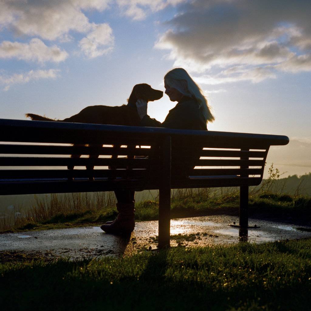 woman with dog in bench stock photo